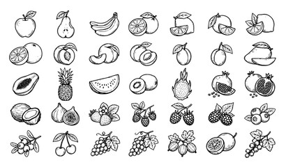Obraz premium Healthy Organic Fruits and Berries Thin Line Editable Stroke Vector Icons