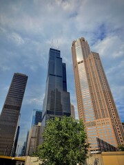 Fototapeta premium Chicago city