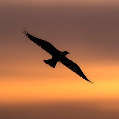 Naklejka premium Majestic black bird gliding through a warm orange sunset sky with outstretched wings, creating a dramatic silhouette of freedom