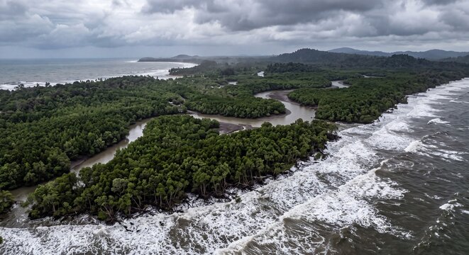 Tropical mangrove forest landscape with winding river meeting ocean waves under a dramatic moody overcast sky