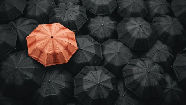 One bright orange umbrella stands out in a large crowd of identical black umbrellas. This illustrates concepts of leadership, individuality, and standing out.