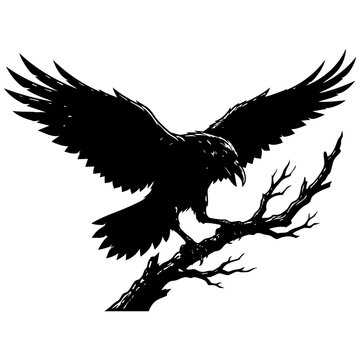 Detailed black silhouette vector illustration of a wild raven bird perched on a twisted tree branch with wings spread wide