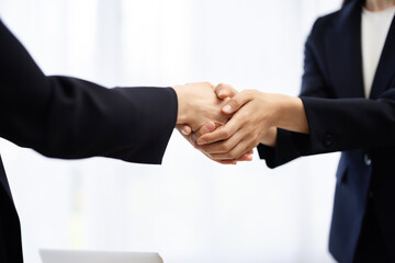 Close-up of the hands of a businesswoman shaking hands with a client © hidez