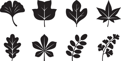 Obraz premium Black leaf silhouettes set with ginkgo biloba oak and maple leaves isolated on white background