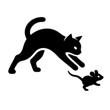 Playful Cat Chasing A Small Mouse