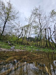 Obraz premium Beautiful Green Landscape with Mountains and Wildflowers in Bungus Valley, Kashmir