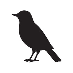 Fototapeta premium Black silhouette of a Nightingale vector illustration