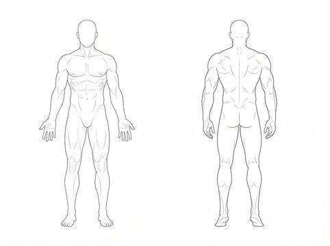 Full Body Male Anatomy Reference Displaying Symmetrical Front and Rear Standing Views With Natural Arm Position