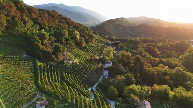 Aerial landscape view over the famous italian prosecco hills, with vineyard rows, at sunrise