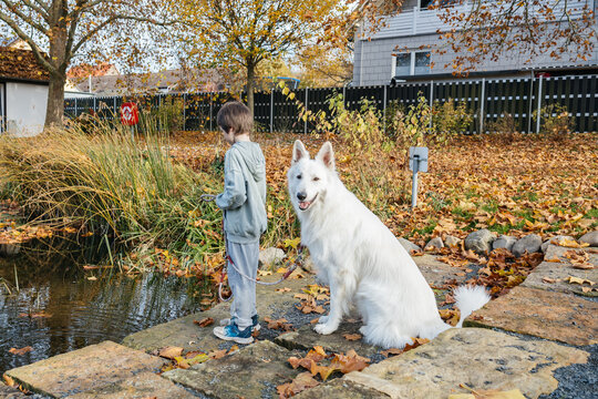 Child and white swiss shepherd dog enjoying autumn by pond