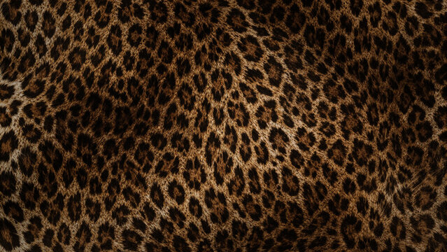 Bold wild leopard print fur texture with natural brown and black spots
