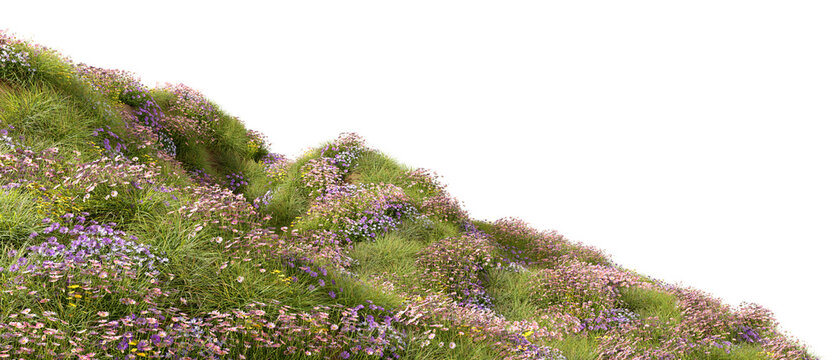 Full blossoms wildflower hills landscape cutout backgrounds 3d rendering png