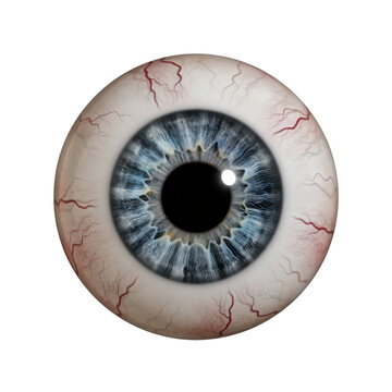 Detailed human eyeball with a blue iris and visible red vessels on the sclera isolated on a transparent background