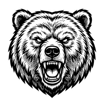 Fierce roaring grizzly bear head mascot illustration in black and white line art style