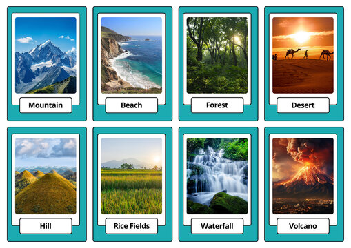 Landscape Flash Card 