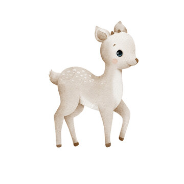 Cute watercolor fawn. Hand-drawn beige baby deer illustration. Woodland animals theme.