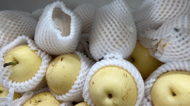 Fresh sweet honey pears with white foam net sleeve packaging