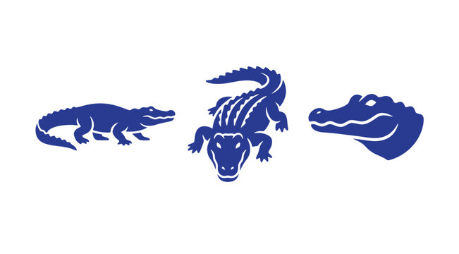 Collection of blue crocodile and alligator graphics showing side view top view head closeup with white background crocodile alligator wildlife collection predator dangerous