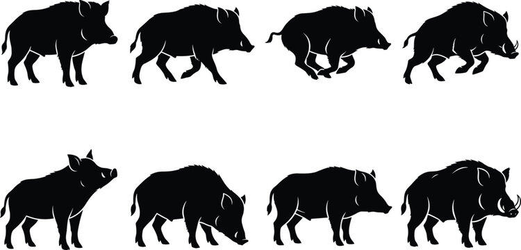 Black silhouette vector set of wild boar icons in standing and walking poses