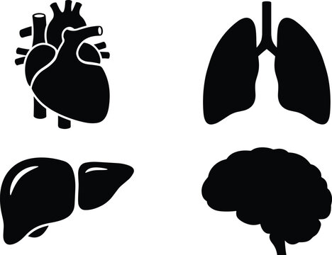 Human internal organs black silhouette vector icon set featuring heart lungs liver and brain