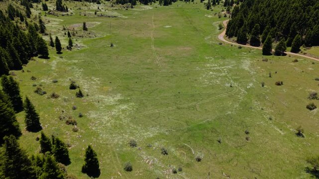 Aerial forward tilt up shot of green alpine meadow in Mount Mainalo Greece