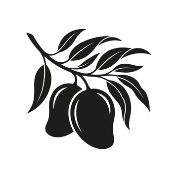 Black silhouette of two fresh mango fruits hanging on a leafy tree branch isolated graphic icon for food and nature design