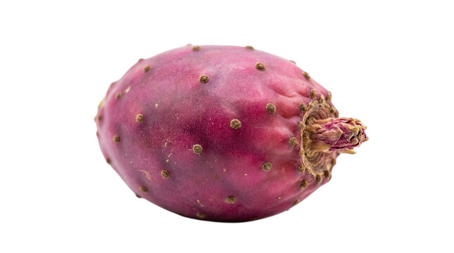 A fresh prickly pear cactus fruit isolated on transparent background
