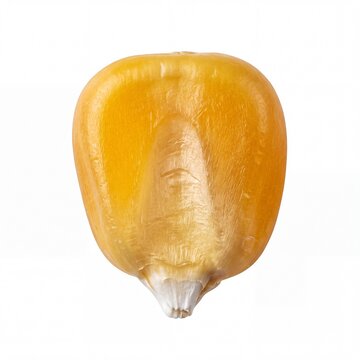 Single yellow corn kernel isolated on white background