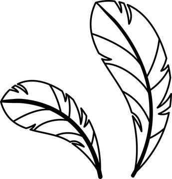 feather vector illustration outline isolated