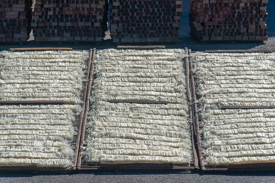 Traditional Chu rice noodles arranged on bamboo drying racks under sunlight in Vietnam, showcasing handmade noodle production and a traditional natural drying process.