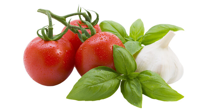 Fresh red tomatoes on vine with basil leaves and garlic bulb, isolated on transparent background