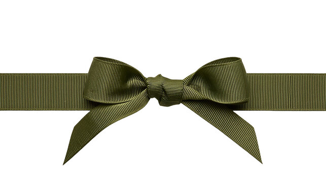 Olive green grosgrain ribbon bow tied on a ribbon, isolated on transparent background