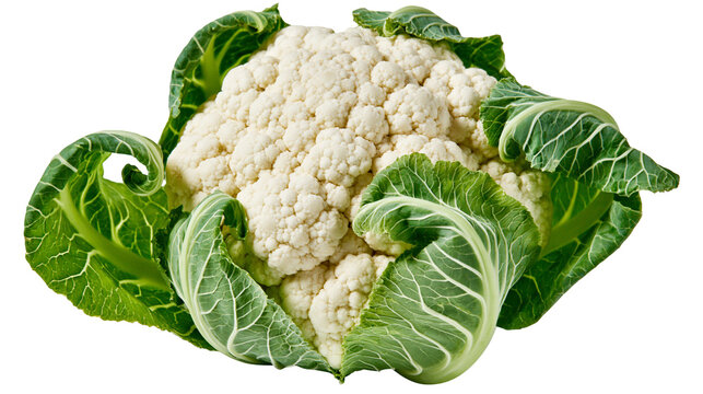 Fresh white cauliflower head with vibrant green leaves, isolated on transparent background