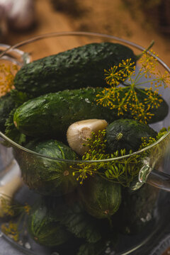 Cucumbers with garlic and dill umbrellas are in a glass pan