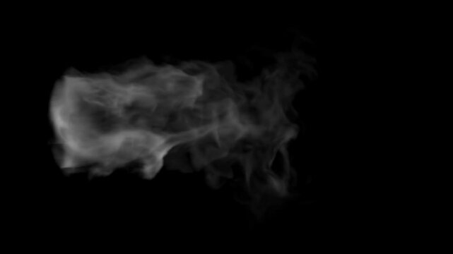 Very useful Smoke elements for compositers and other works. 58 variations in full HD. alpha channel is not included .smoke can be separated with the screen mode or VC Color vibance plugin which is giv