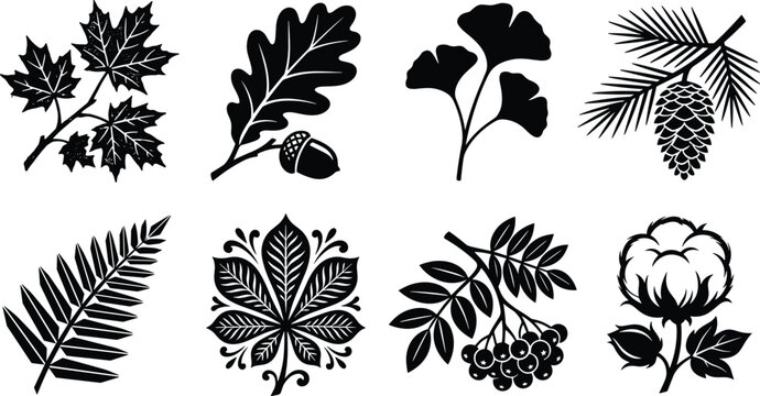 Botanical Leaves Silhouette Icon Set Black Nature Vector Collection