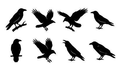 Obraz premium Raven and Crow Bird Silhouette Icon Set Vector Illustration
