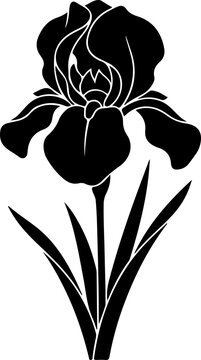 A minimalist black and white silhouette illustration of a blooming iris flower with long green leaves