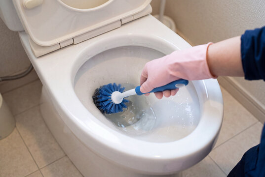 トイレブラシで便器を掃除する住宅トイレの清掃イメージ