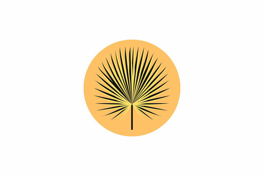 wooden comb isolated