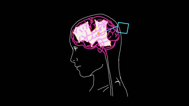 human brain scan video in 4K
