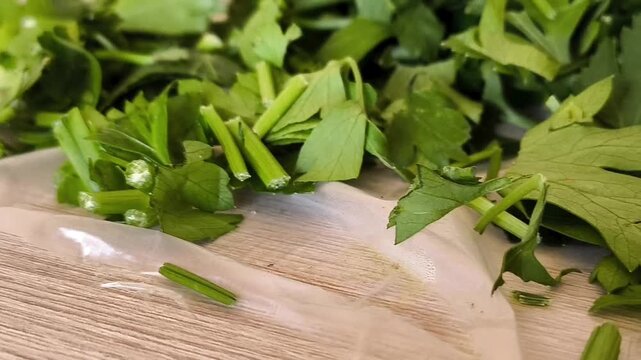 chopped parsley drying on a table, homemade herb preservation and production of dried seasonings, spices and food ingredients.