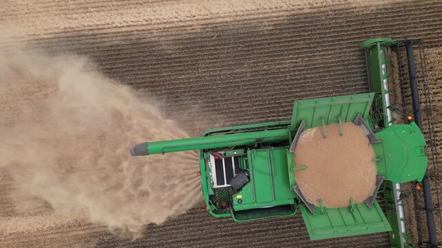Top-Down Aerial View of Combine Harvester Harvesting Wheat Field
