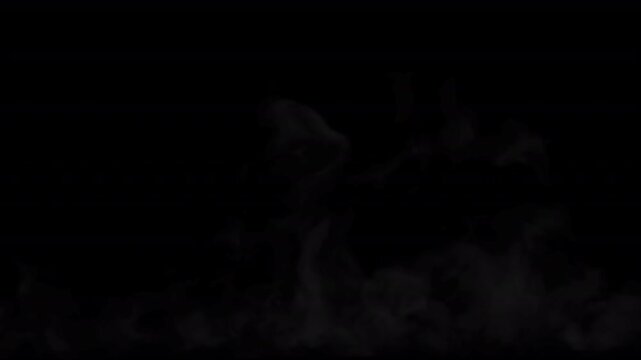 Very useful Smoke elements for compositers and other works. 58 variations in full HD. Alpha channel is not included .smoke can be separated with the screen mode or VC Color vibance plugin 