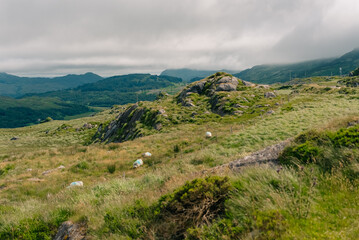 Fototapeta premium Winding Healy Pass mountain road R574 through the Caha Mountains on the Beara Peninsula, Ireland - 4 September 2026.