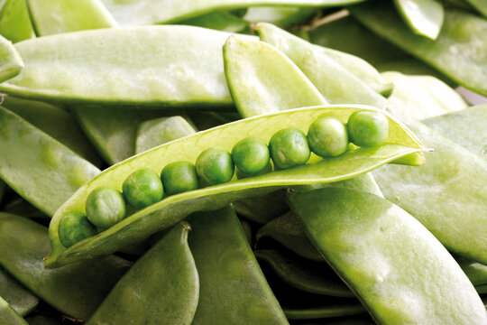 Open pea pod, close-up