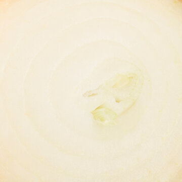 onion isolated  texture background peel half