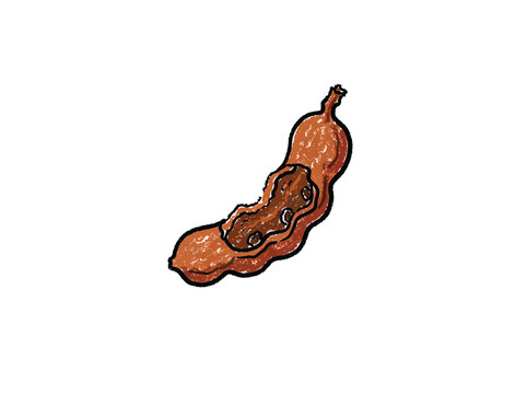 Brown Tamarind Pod Hand Drawn Crayon Style Vector Illustration