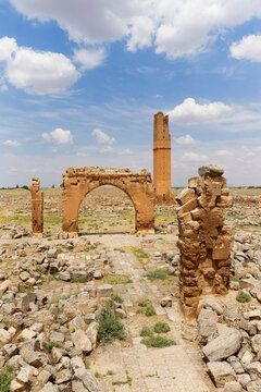 Turkey, Anatolia, South East Anatolia, Sanliurfa Province, Harran, Ruins of the University and Minaret of Ulu Camii