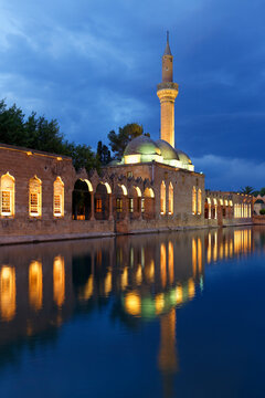 Turkey, Anatolia, Sanliurfa, Pool of Abraham with Rizvaniye Mosque in background